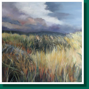 Dimensions: 100 x100