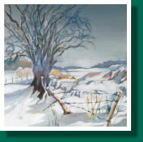 Dimensions : 50 x 50