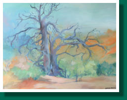 Dimensions: H50 x L65
